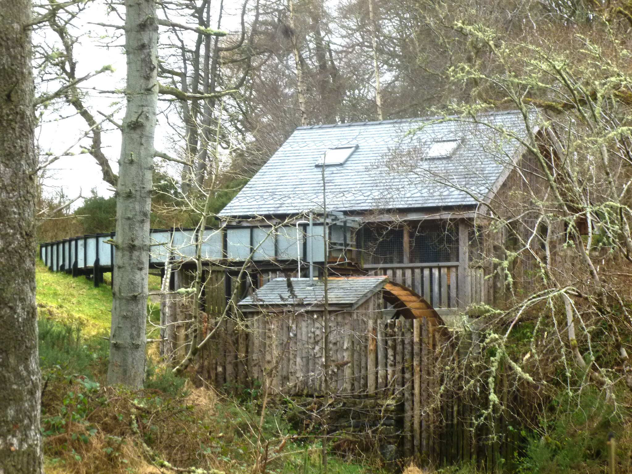 Photo of photos/John McLennan - Latta Mill by Guido Blokland